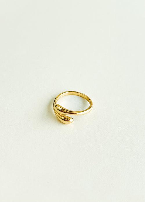 Duo Snake Ring