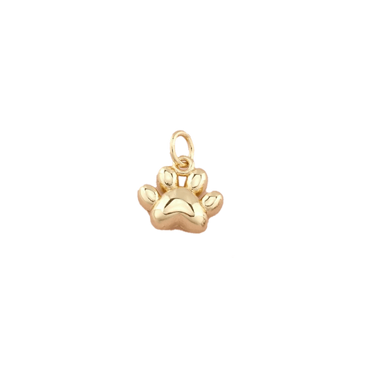 Paw Charm